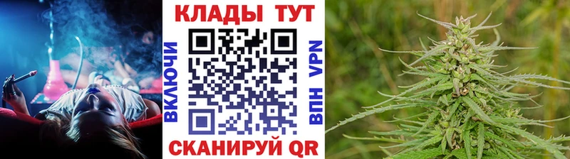  Кокаин Терек
