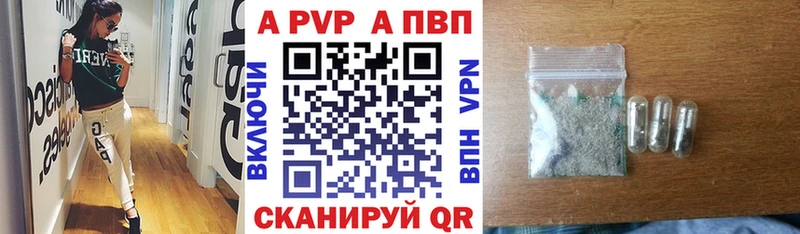 Alfa_PVP СК  Терек 