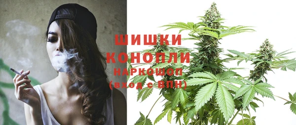 крисы Янаул