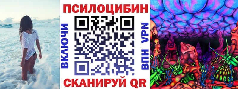 где можно купить наркотик  Терек  Галлюциногенные грибы Psilocybine cubensis 