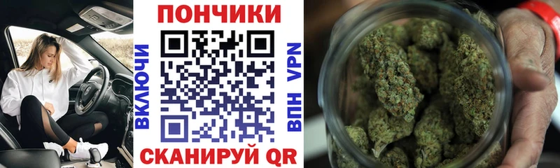 Марихуана план  Терек 